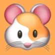WWW,ccc95·COM网站APPAPP应用
