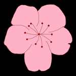 WWW,852se·COM网站APPAPP应用